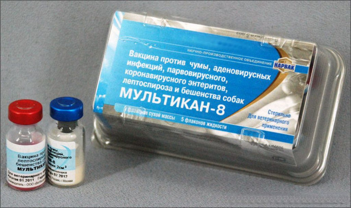 Мультикан-8 (1 флакон-1 доза)