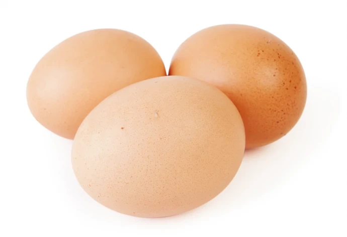 Яйцо подкладное (муляж) для кур